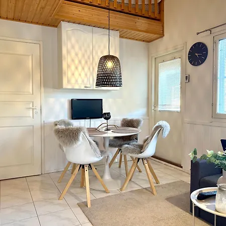 Lomavuokra Levistar H201 Levi