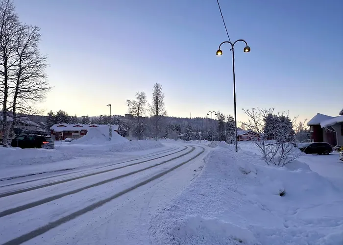 Lomavuokra Levistar H201 * Levi